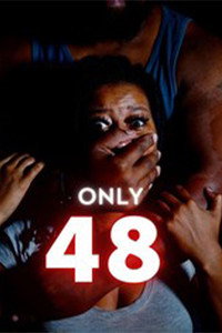 Всего 48